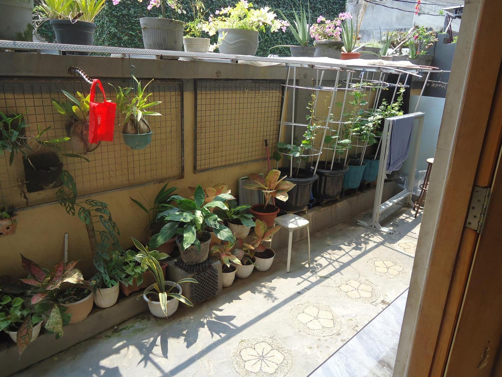 The Reinhold Guesthouse Bali Kerobokan  Luaran gambar
