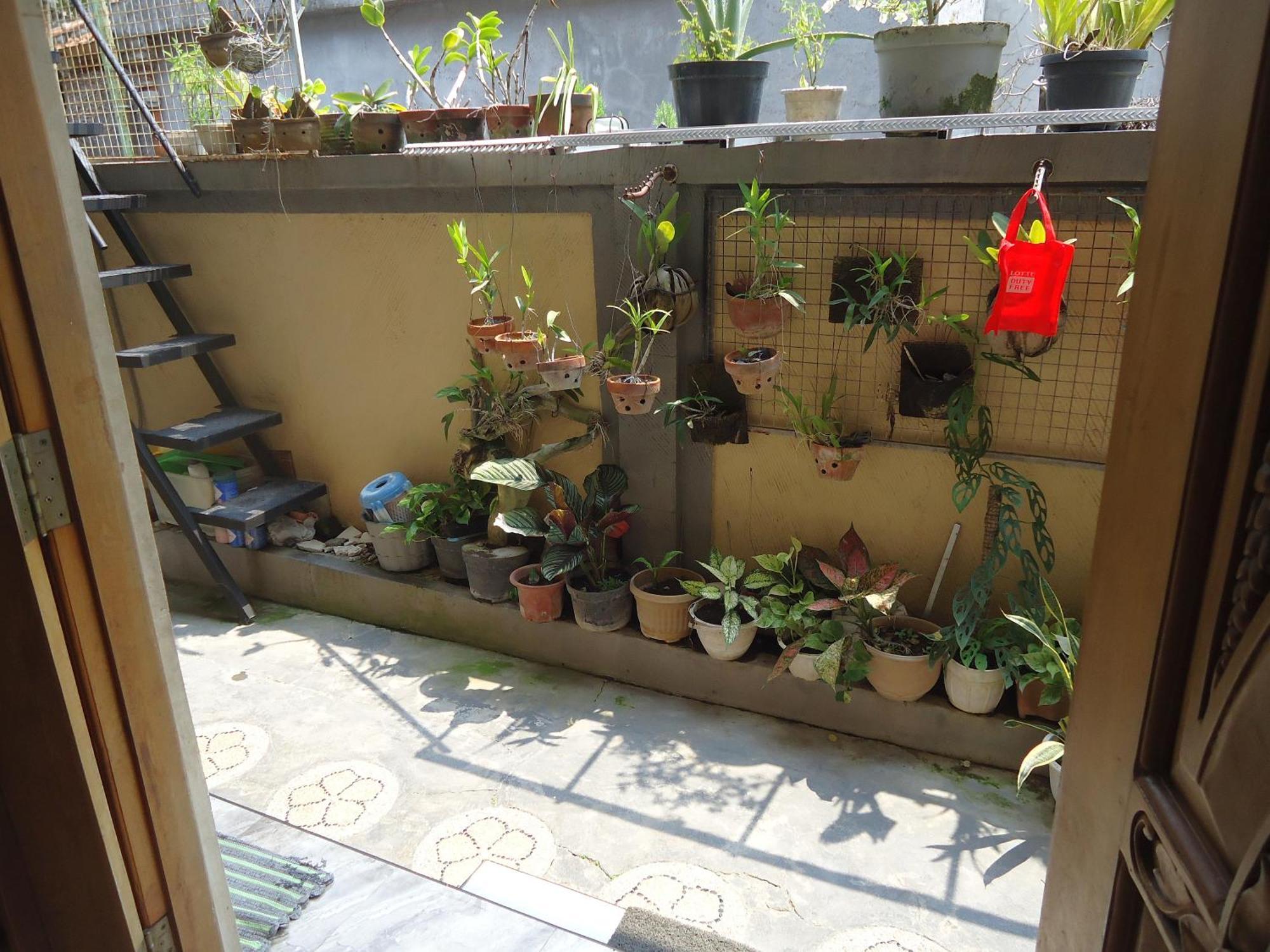 The Reinhold Guesthouse Bali Kerobokan  Luaran gambar